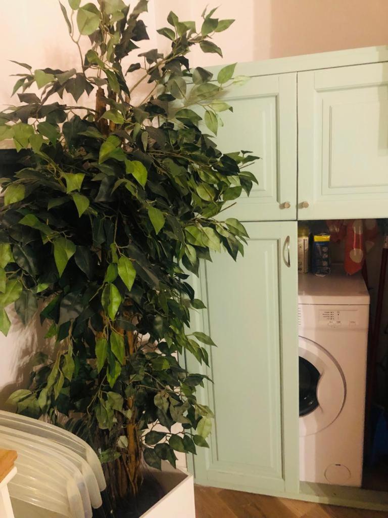 Charme Holidays Trastevere روما المظهر الخارجي الصورة